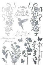 Load image into Gallery viewer, PAPILLON - (8 gold &amp; silver foil pages, 8"x12")  - IOD Transfer Pad

