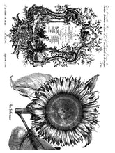 Load image into Gallery viewer, Melange - IOD Paint Inlay
