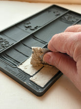Load image into Gallery viewer, BOOKISH - IOD Mould
