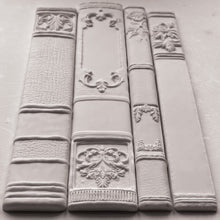 Load image into Gallery viewer, BOOKISH - IOD Mould
