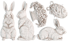Load image into Gallery viewer, LES LAPINS - IOD Mould

