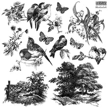 Load image into Gallery viewer, MEADOWLARK - IOD Stamp
