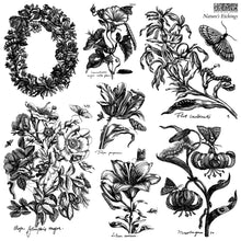 Load image into Gallery viewer, NATURE'S ETCHINGS (12x12") - IOD Double Stamp
