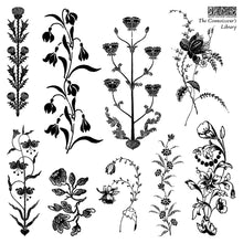 Load image into Gallery viewer, THE CONNOISSEUR'S LIBRARY LABELS Mini Stamp Box Set - IOD Stamp 4 Sheets, 6”x6”
