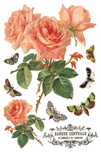 Load image into Gallery viewer, BY ANY OTHER NAME (8 pages) - IOD Transfer Pad

