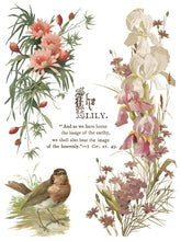 Load image into Gallery viewer, FLOWERS BY THE POETS (8 pages, 12x16") - IOD Transfer Pad
