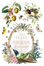 Load image into Gallery viewer, FLORA GRECA (8 pages) - IOD Transfer Pad

