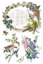 Load image into Gallery viewer, FLORA GRECA (8 pages) - IOD Transfer Pad
