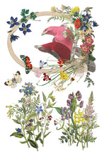 Load image into Gallery viewer, FLORA GRECA (8 pages) - IOD Transfer Pad
