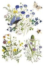 Load image into Gallery viewer, FLORA GRECA (8 pages) - IOD Transfer Pad
