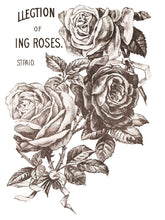 Load image into Gallery viewer, MAY&#39;S ROSES (4 pages) - IOD Transfer Pad
