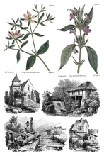 Load image into Gallery viewer, SAINT OUEN (8 pages) - IOD Transfer Pad
