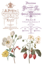 Load image into Gallery viewer, SAINT OUEN (8 pages) - IOD Transfer Pad

