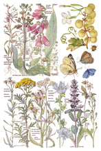 Load image into Gallery viewer, PRIMROSE ISLE (8 pages, 8X12") - IOD Transfer Pad
