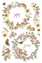 Load image into Gallery viewer, THE BRAMBLEWOOD DIARIES (8 pages) - IOD Transfer Pad
