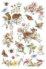 Load image into Gallery viewer, THE BRAMBLEWOOD DIARIES (8 pages) - IOD Transfer Pad
