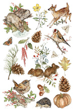 Load image into Gallery viewer, THE BRAMBLEWOOD DIARIES (8 pages) - IOD Transfer Pad
