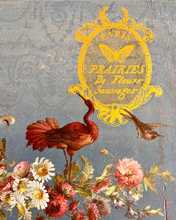 Load image into Gallery viewer, PAPILLON - (8 gold &amp; silver foil pages, 8"x12")  - IOD Transfer Pad
