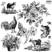 Load image into Gallery viewer, LA CAMPAGNE (12x12&quot;) - IOD Double Stamp
