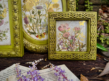 Load image into Gallery viewer, FLORA GRECA (8 pages) - IOD Transfer Pad

