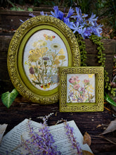 Load image into Gallery viewer, FLORA GRECA (8 pages) - IOD Transfer Pad
