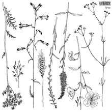 Load image into Gallery viewer, Sprigs - IOD Stamp
