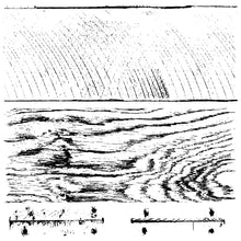 Load image into Gallery viewer, Barnwood Planks - IOD Stamp
