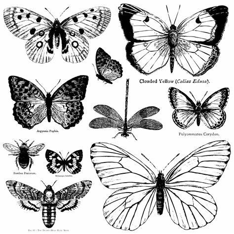 Butterflies - IOD Stamp